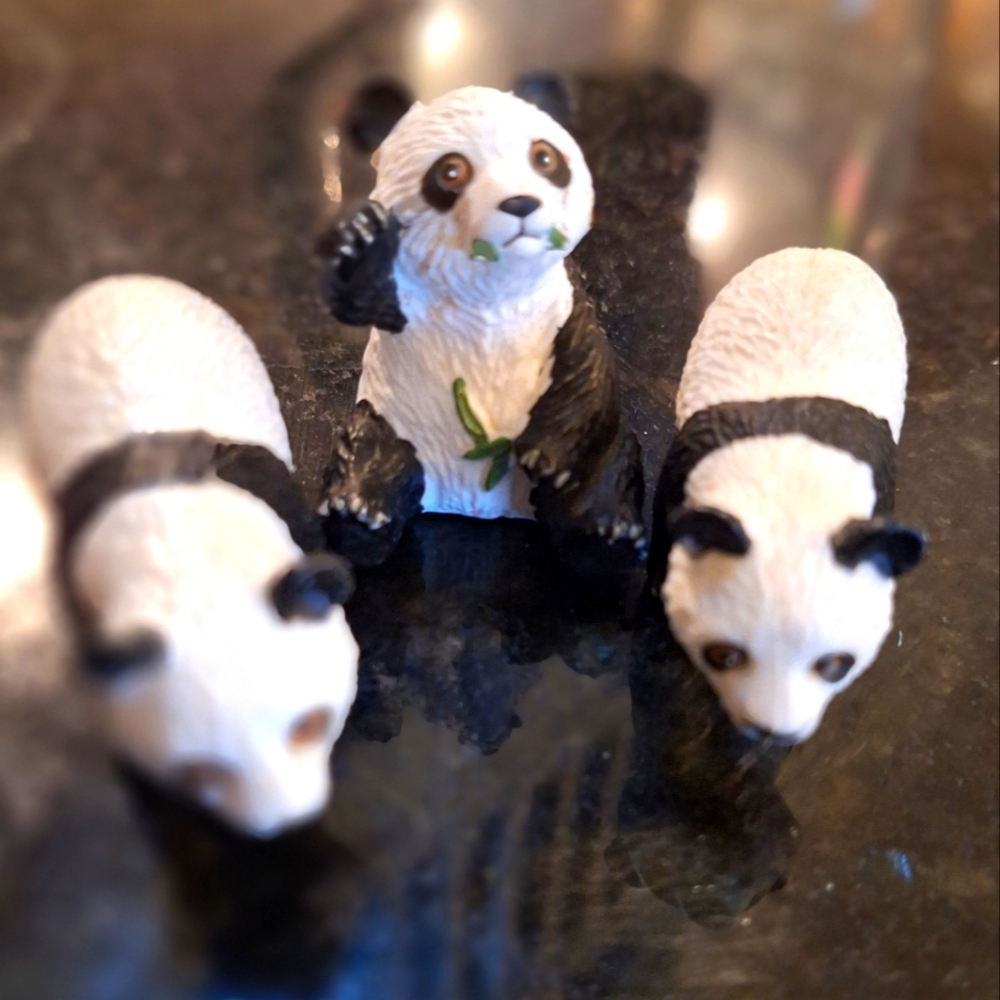 Panda Bear Set